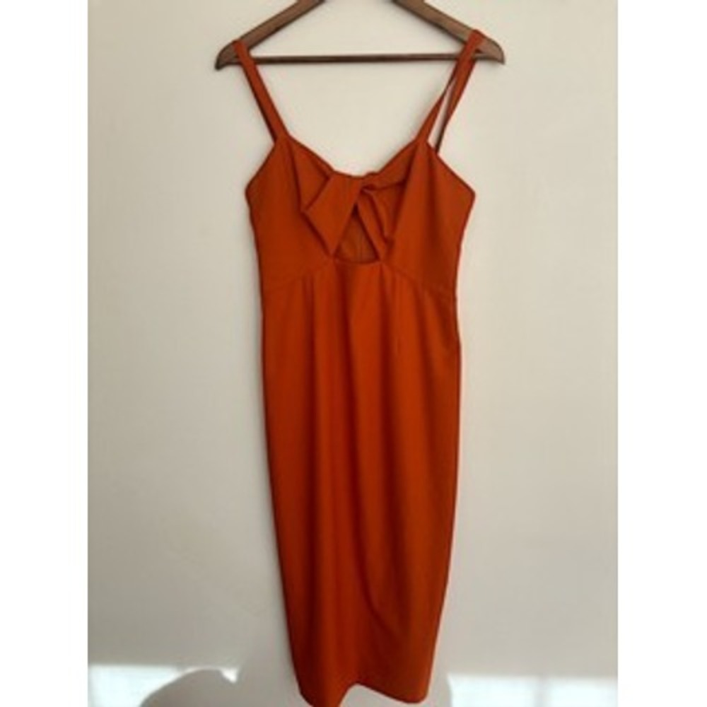 BHLDN Evonna Dress in Terracotta Anthropologie Brand Size‎ 8